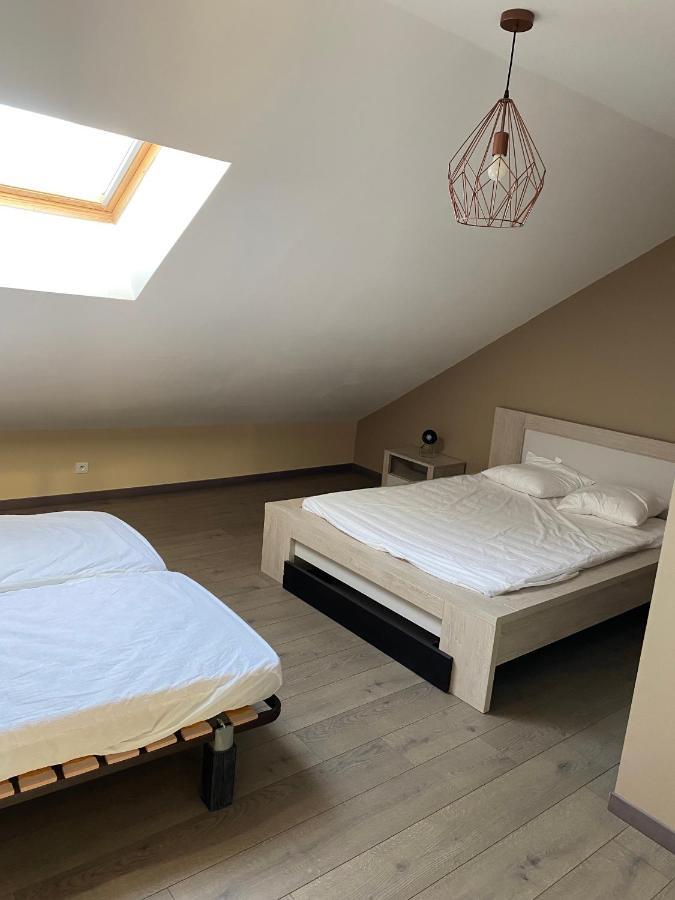 Appartement 14 Couchages Vallee Du Gresivaudan La Buissiere  Экстерьер фото